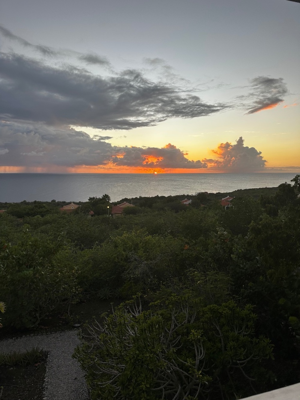 Meet your Posher, Bella